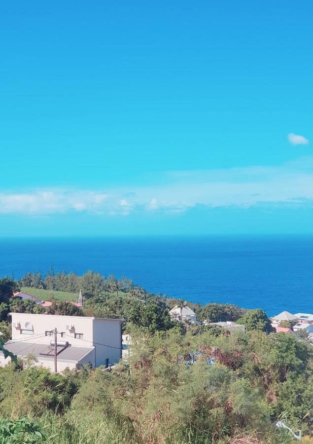 Villa Lilie location manapany 4 étoiles à Petite Île Extérieur photo